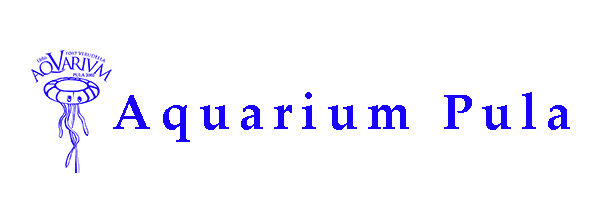 aquarium pula